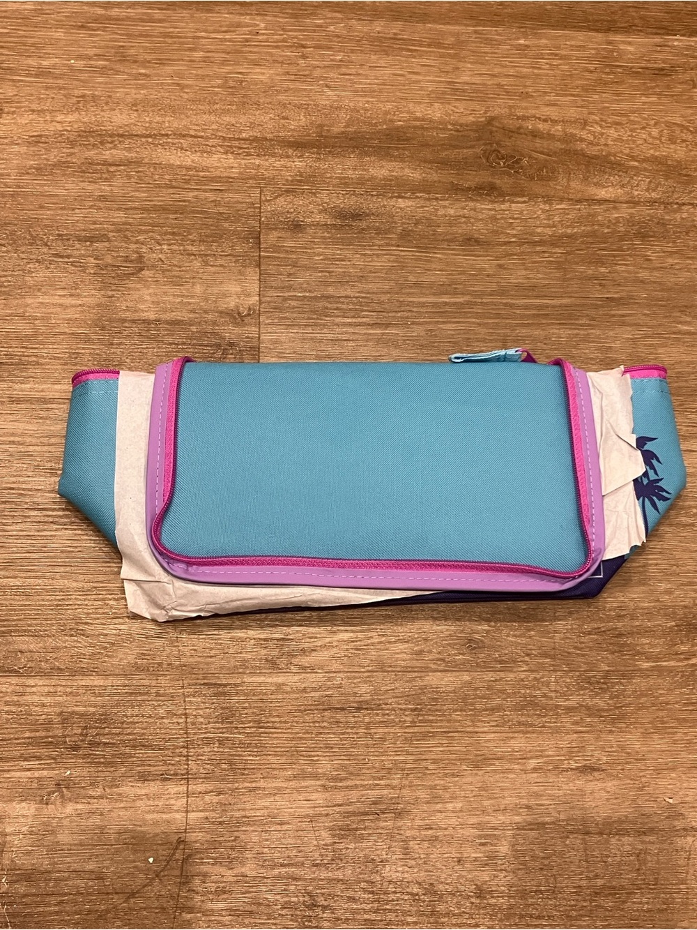 Trader Joe’s mini insulated cooler bag